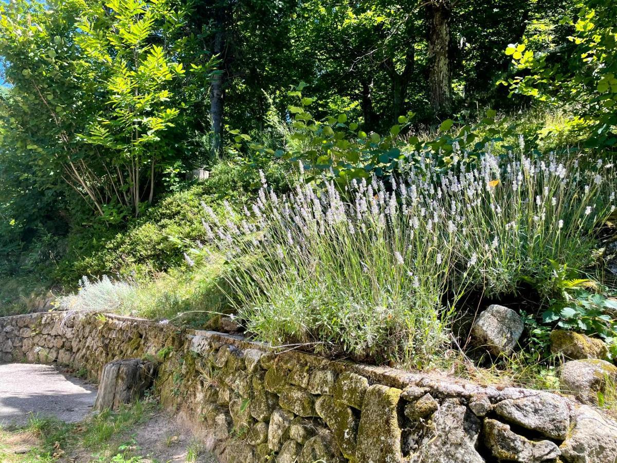 Gite Des Sausses Dans Une Nature Preservee Burzet Екстериор снимка