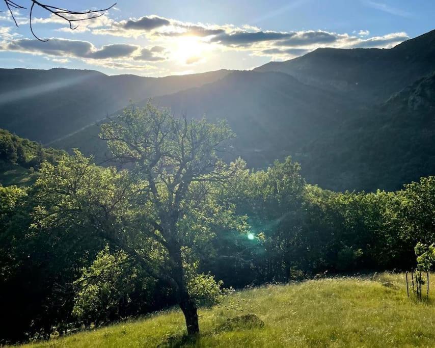 Gite Des Sausses Dans Une Nature Preservee Burzet Екстериор снимка